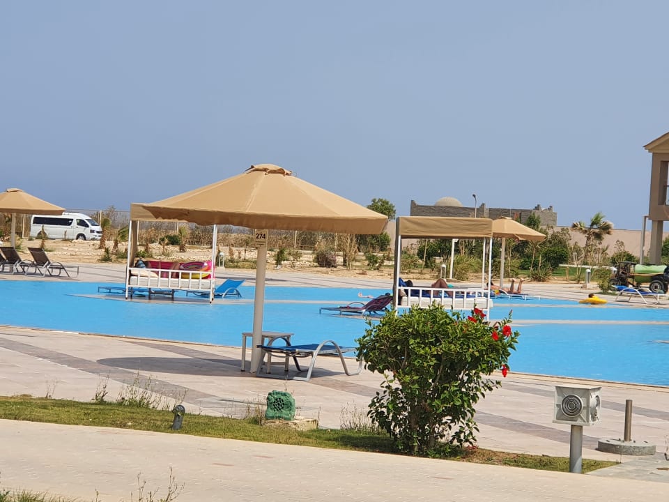 Pool Pickalbatros Sea World Resort - Marsa Alam