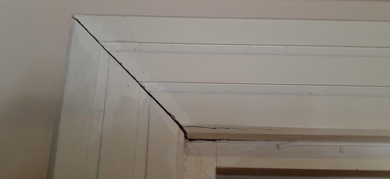 Zimmer Marvida Family Eco