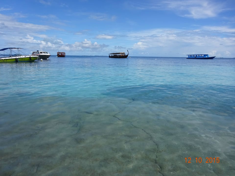 Oktober 2015 Fihalhohi Maldives