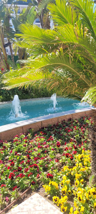 Gartenanlage Hotel Delphin Imperial