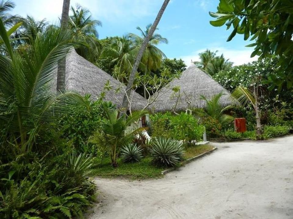 Delux Beach Villa mit Jacuzzi Kuramathi Maldives