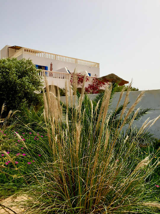 Gartenanlage Maison dˋHôte Domaine El-Manar