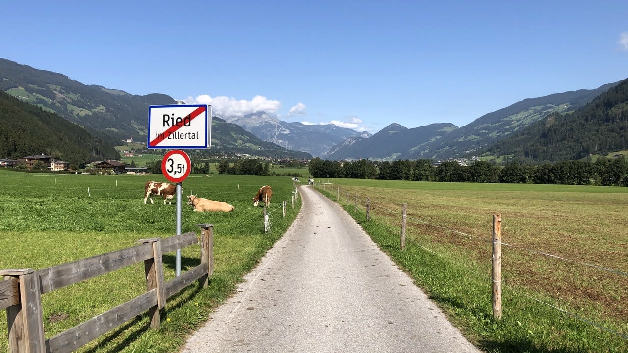 Ausblick Platzlhof - Mein Hotel im Zillertal