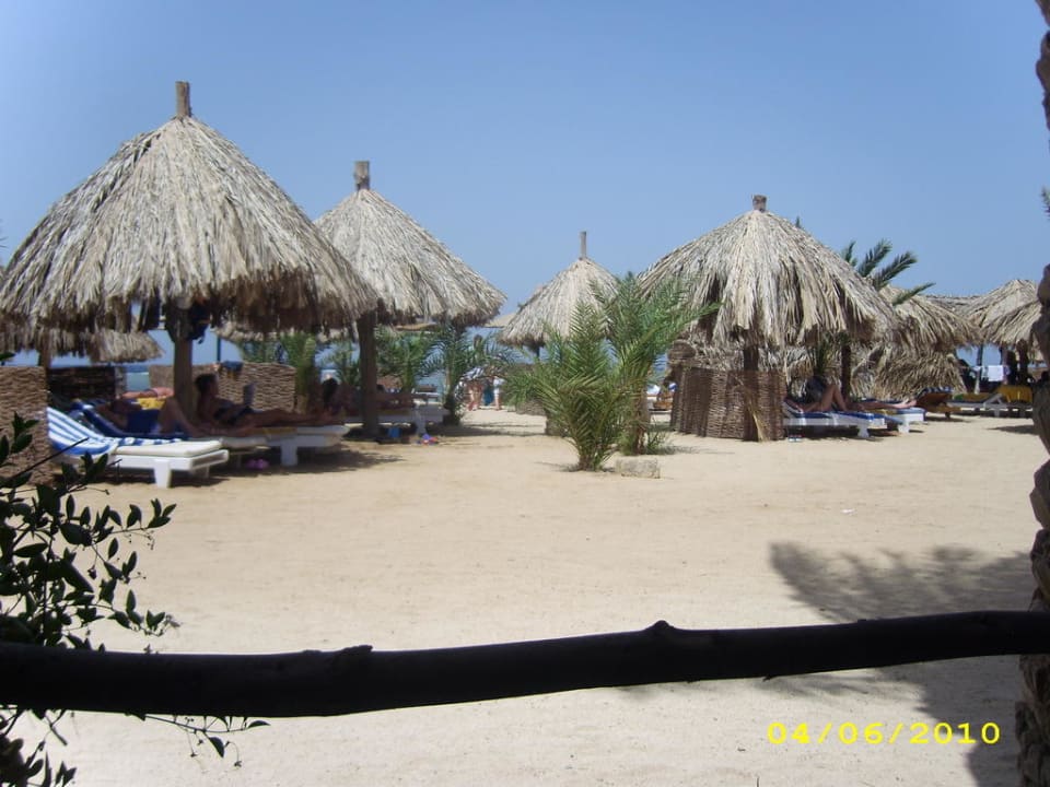 Sonnenliegen Utopia Beach Club