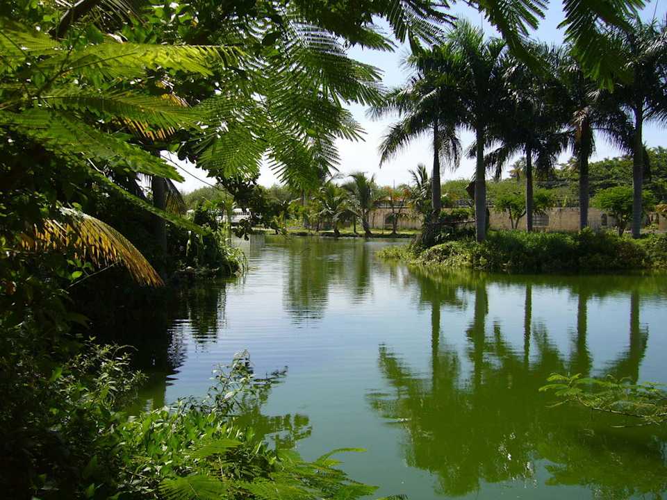 See im Hotel Villas Bavaro Resort & Spa
