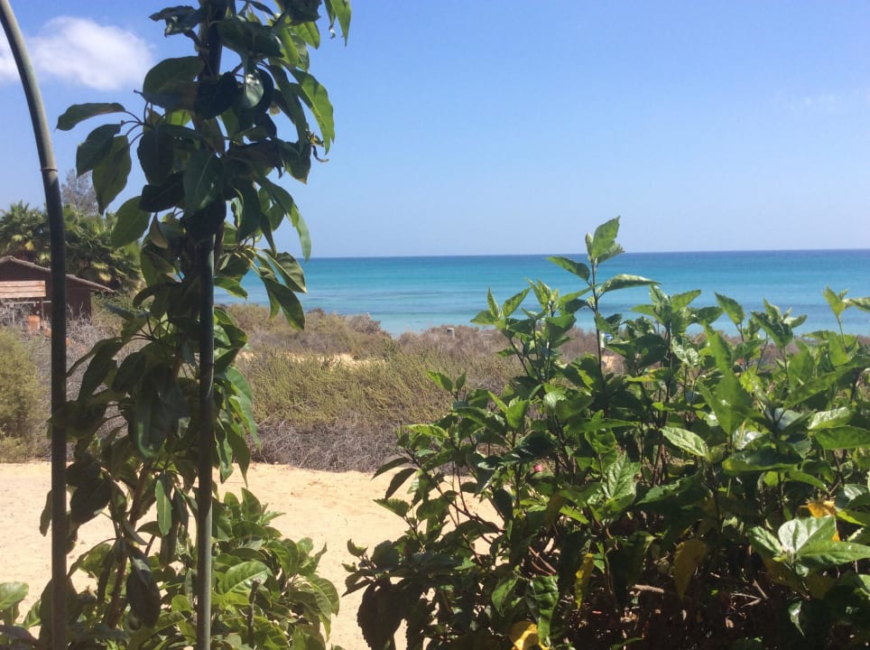 Blick von der Strandbar SBH Hotel Taro Beach