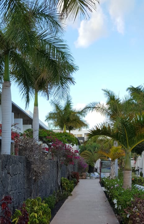 Gartenanlage Hotel Costa Calero