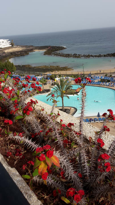 Toller Blick vom Balkon Hotel Grand Teguise Playa
