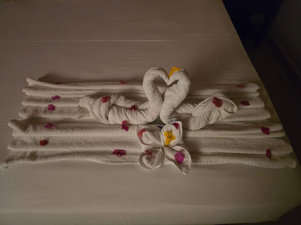 Zimmer Jaz Makadi Oasis Resort