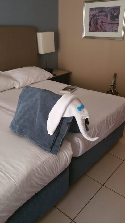 Jeden Tag neues Motiv JAZ Aquamarine Resort