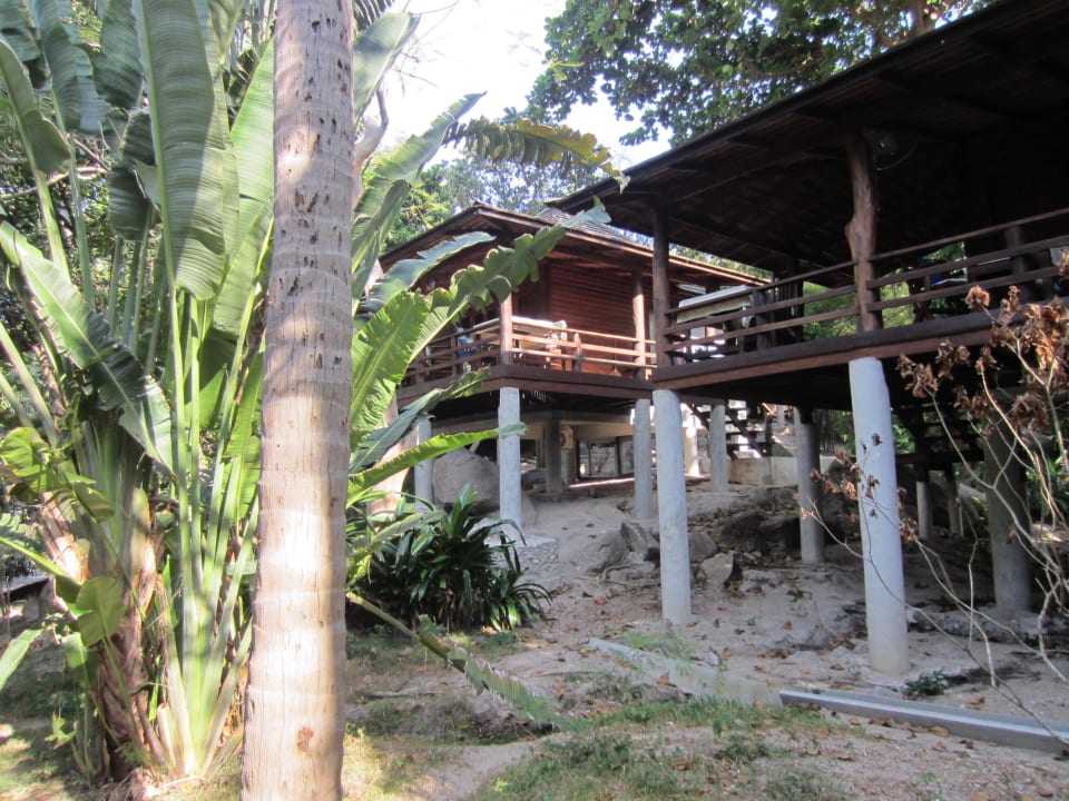 Bungalow mit sehr großer Terrasse Sensi Paradise Beach Resort