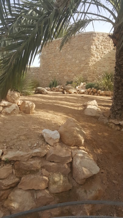 Gartenanlage Hotel Djerba Resort