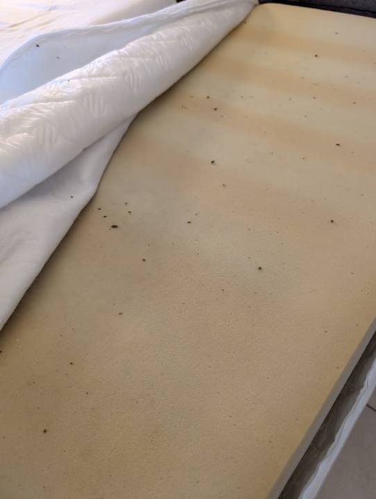 Zimmer TUI KIDS CLUB Alex Beach