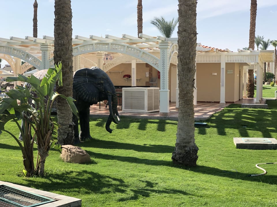 Gartenanlage Beach Albatros Resort