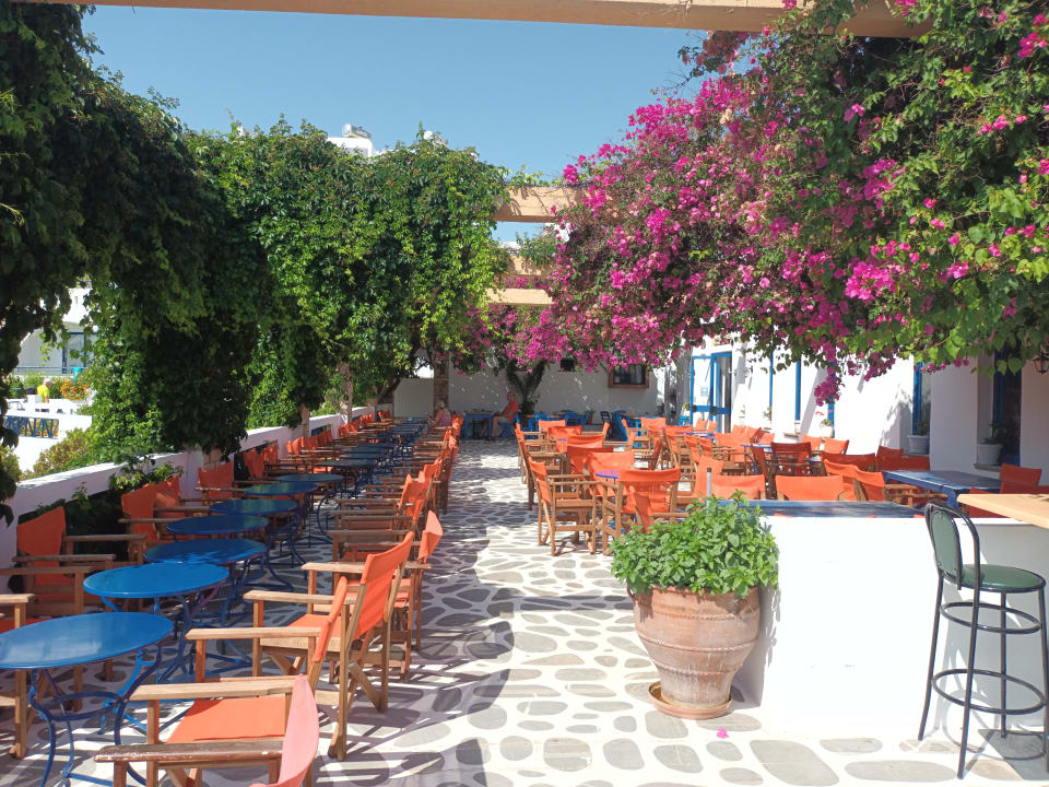 Gastro Ekaterini Hotel