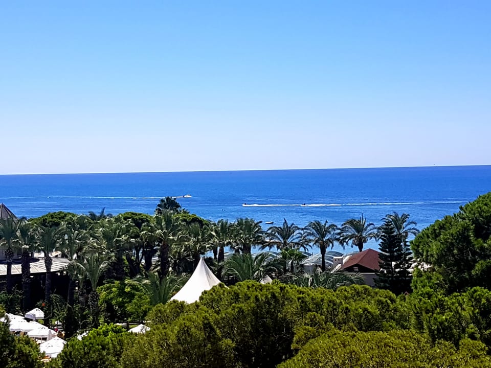 Ausblick Papillon Ayscha