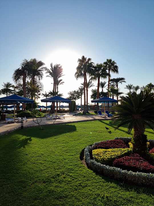 Gartenanlage Continental Hotel Hurghada