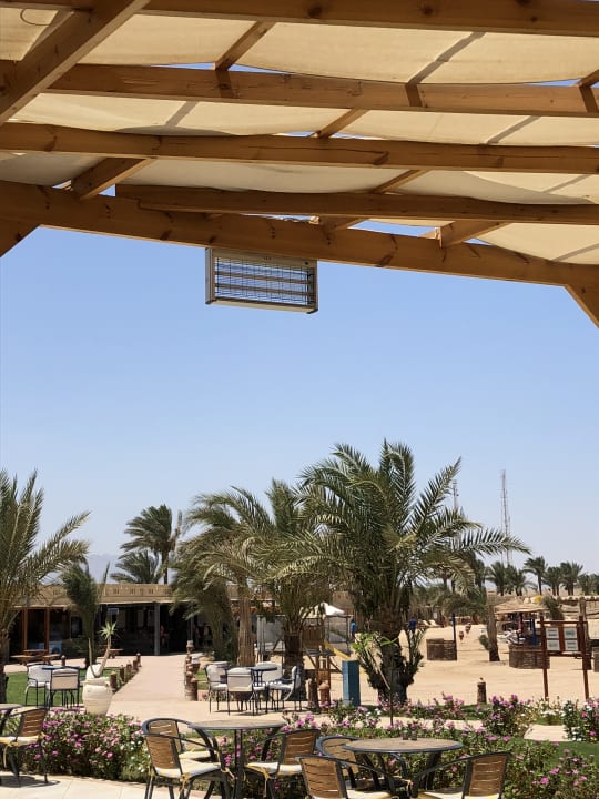 Insekten Killer auf der Außenterasse Coral Sun Beach