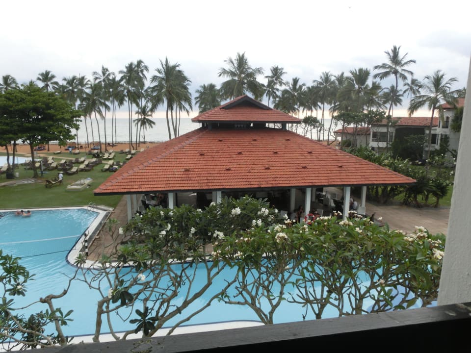 Blick auf die Poolbar Club Hotel Dolphin