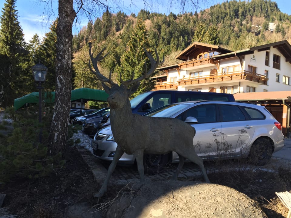 Sonstiges Alpenhotel Oberstdorf