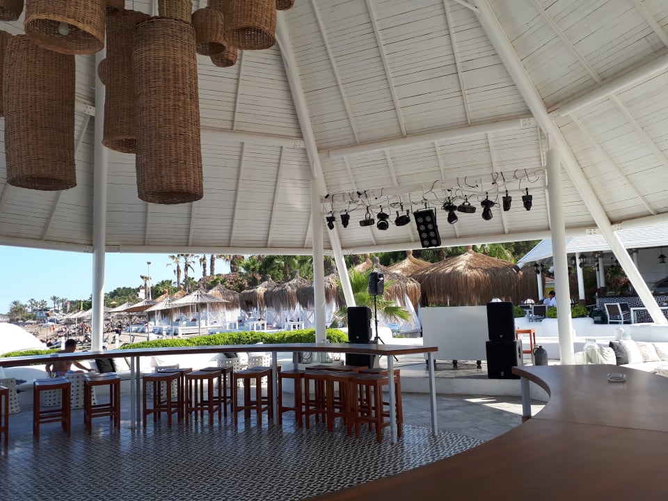 Gastro Balmy Foresta