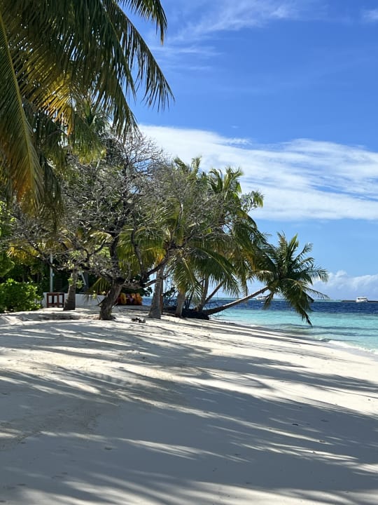 Strand Vilamendhoo Island Resort & Spa