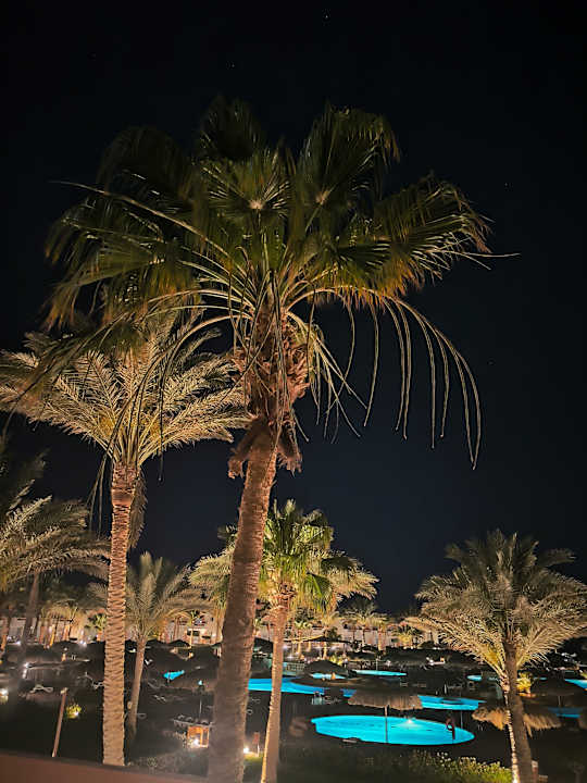 Gartenanlage Three Corners Sea Beach Resort