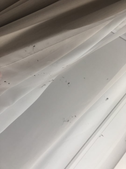 Zimmer Ferienwohnungen Ferienpark Weissenhäuser Strand