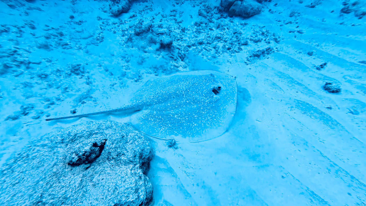 Strand Veligandu Maldives Resort Island