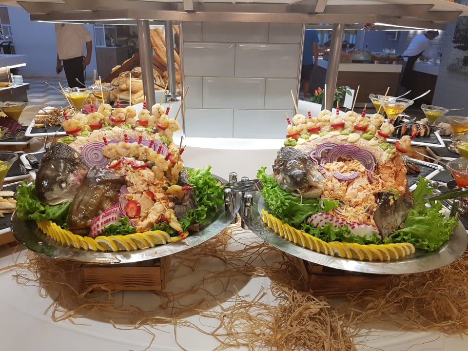 Gastro Lara Barut Collection