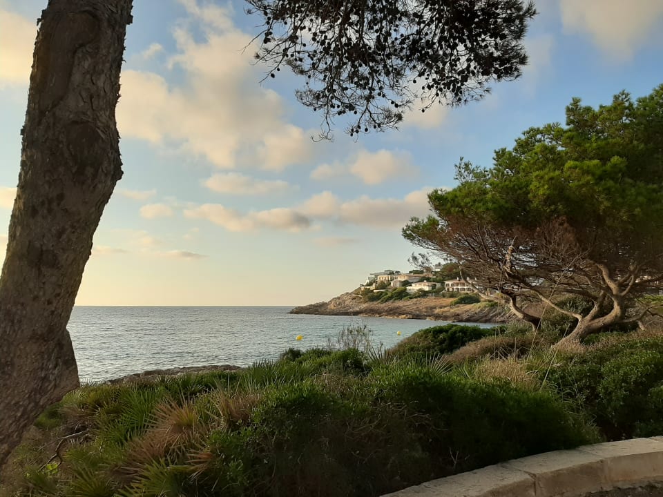 Ausblick Iberostar Waves Pinos Park