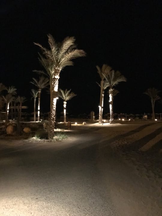 Außenansicht Pickalbatros Sands Hotel - Port Ghalib