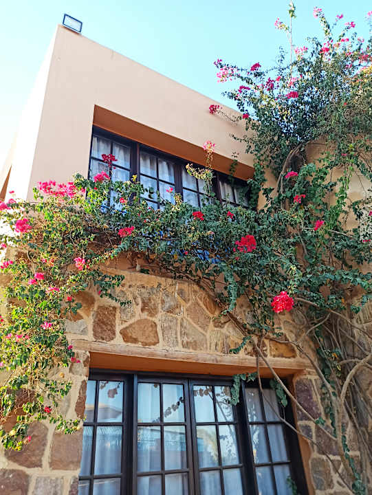 Zimmer Rohanou Beach Resort