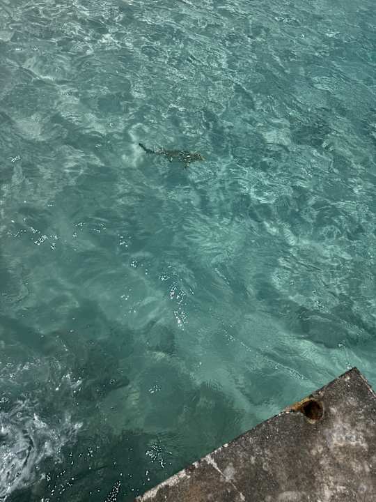 Gastro Adaaran Select Meedhupparu Island Resort - Premium All Inclusive