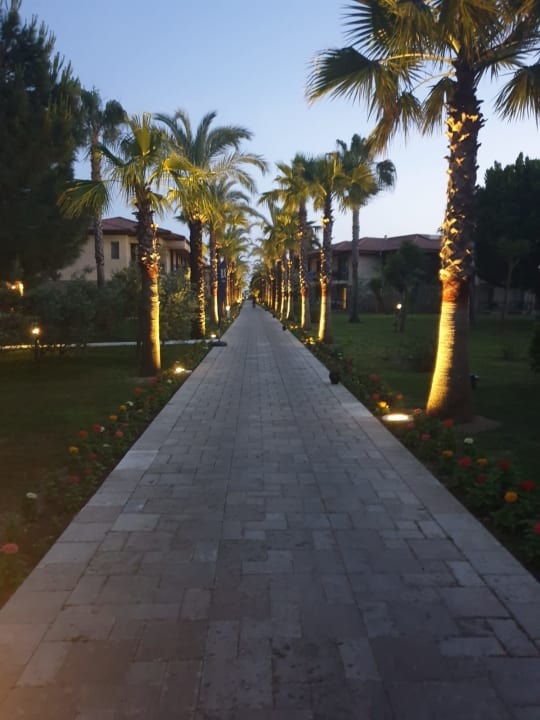 Gartenanlage TUI BLUE Palm Garden