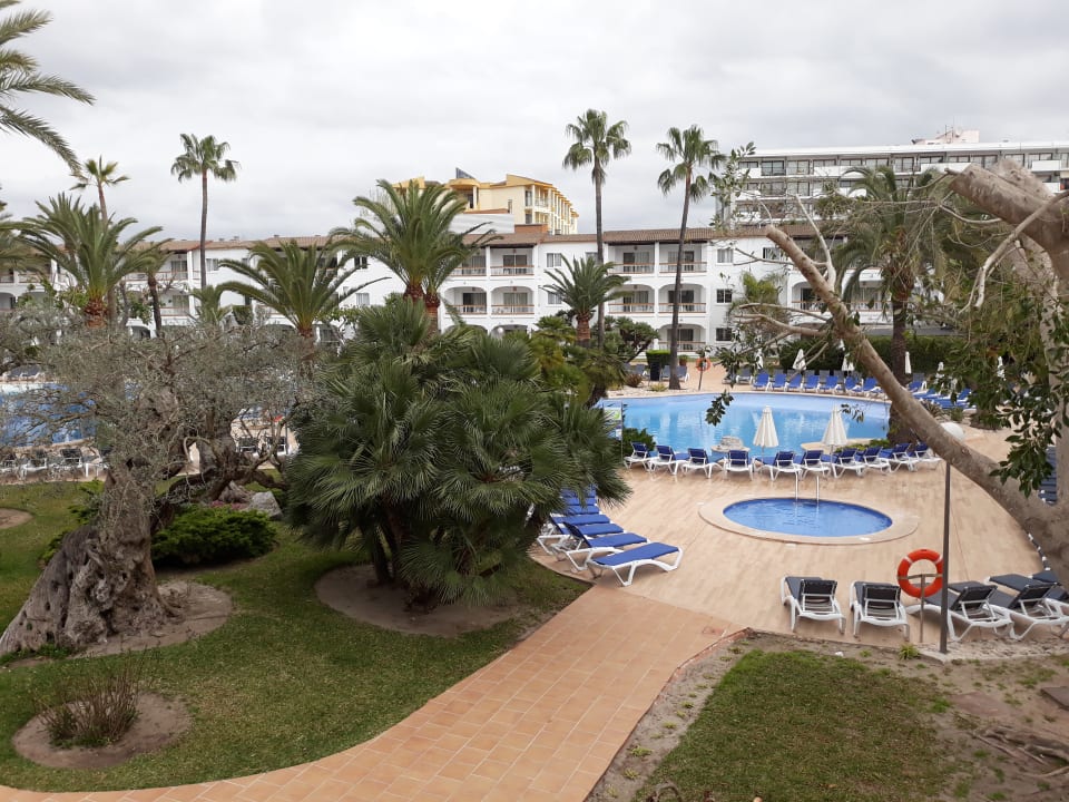 Pool Alcudia Garden Aparthotel