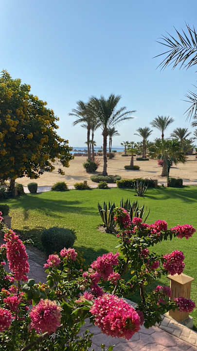 Gartenanlage Wadi Lahmy Azur Resort