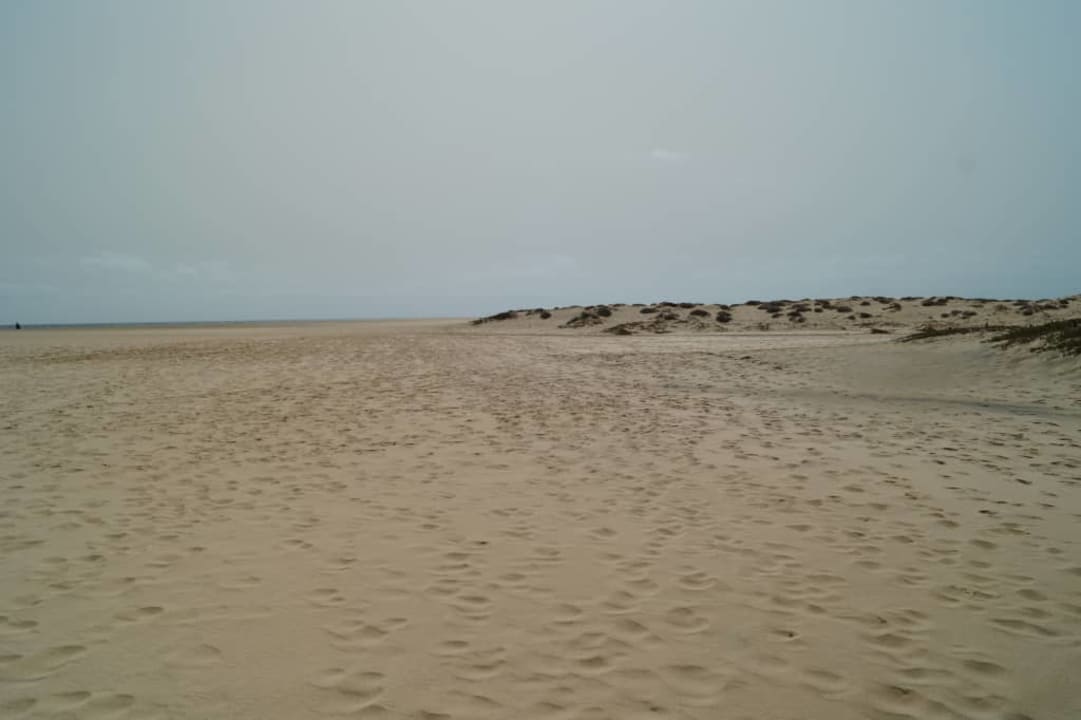 Na wyspie Sal Oasis Salinas Sea