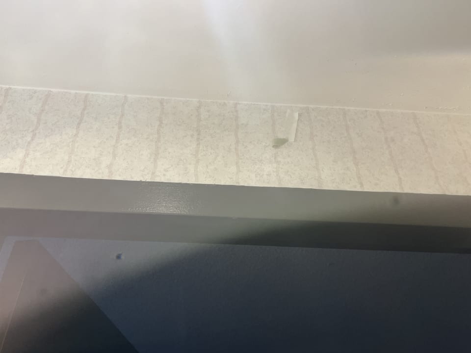 Zimmer Hollywood Hotel - The Hotel of Hollywood