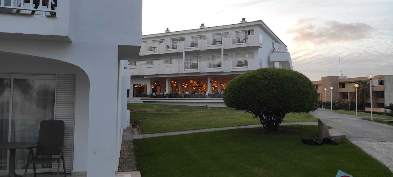 Gastro blau punta reina