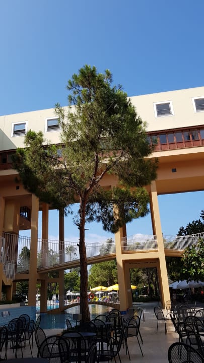 Gastro Asteria Collection Side