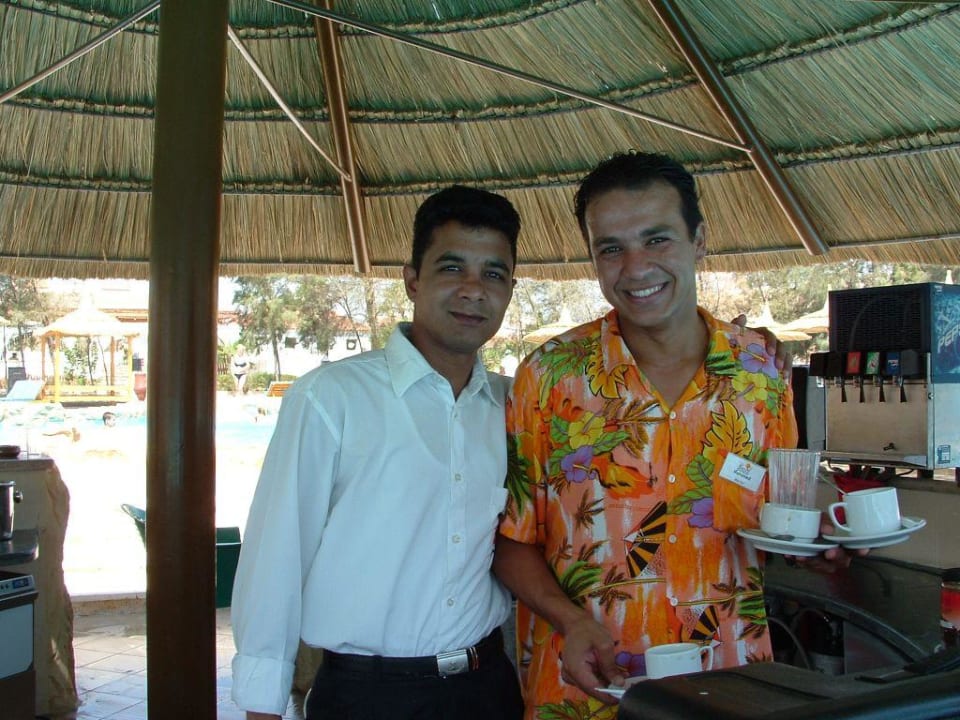 Der neue Pool Beach Albatros Resort