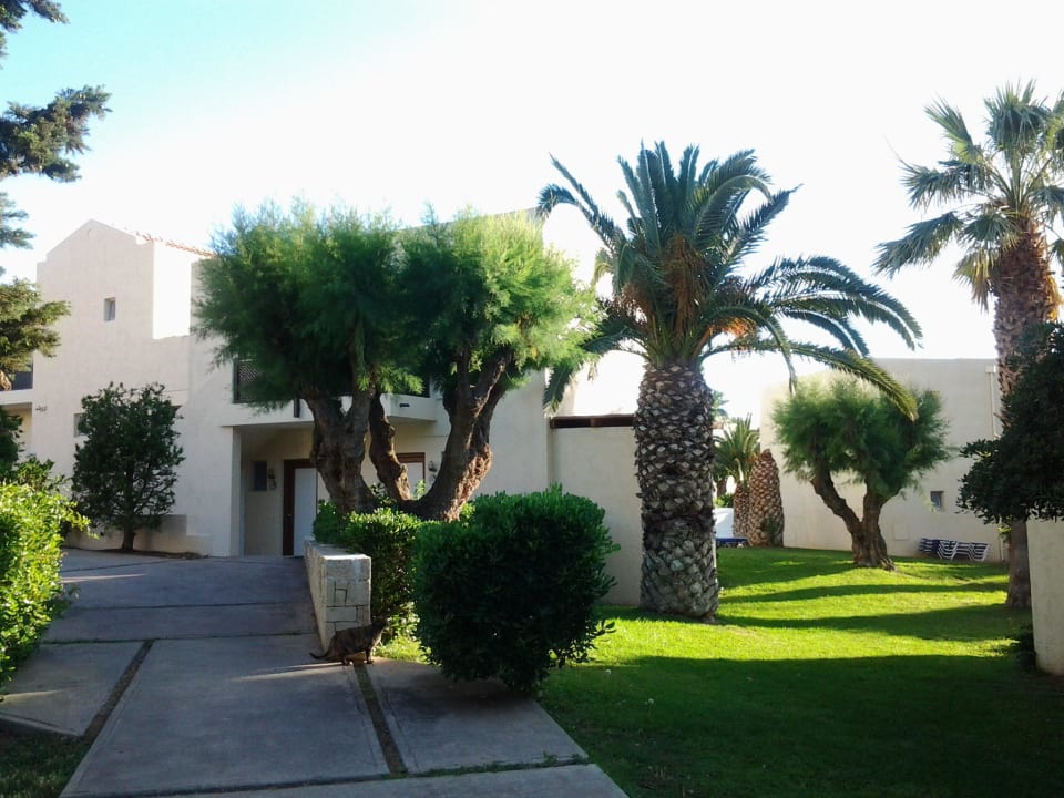 Tolle Pflege der Gärtner Phãea Cretan Malia