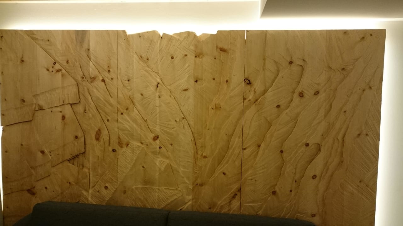 DZ Panorama Hotel Schönruh