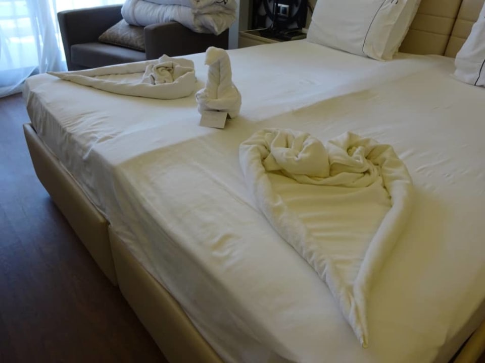 Ręczniki Asteria Venus Didim