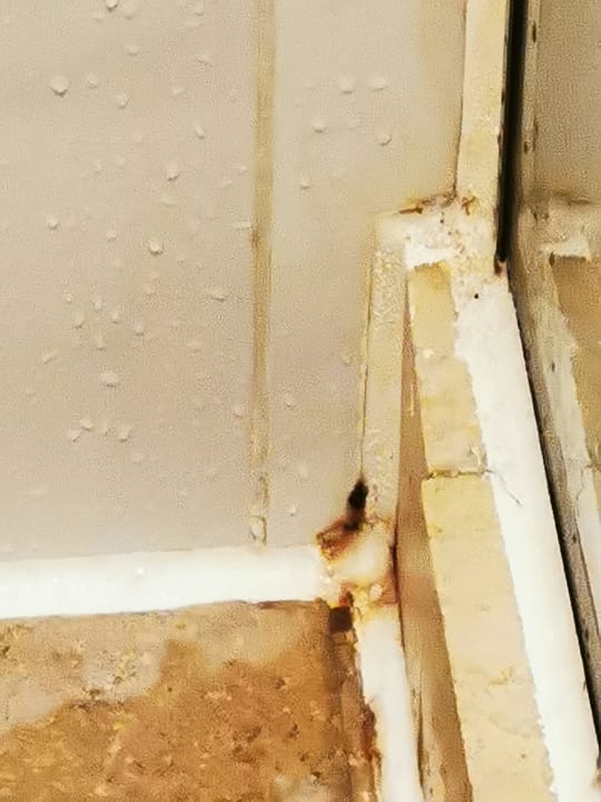 Zimmer Mövenpick Resort & Spa El Gouna