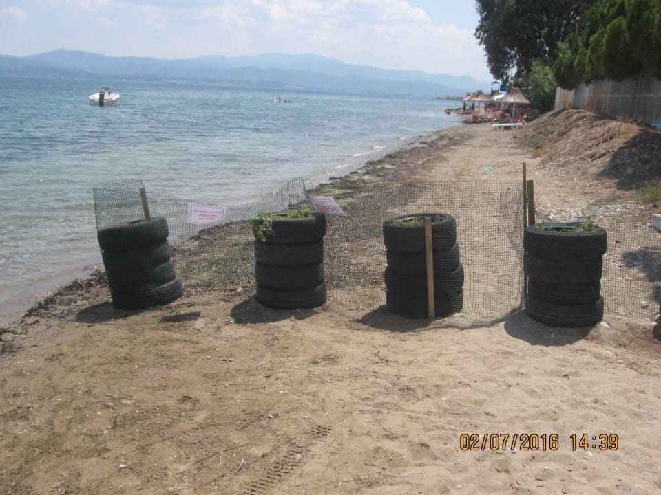 Sperrung für die Hunde Brown Beach Eretria