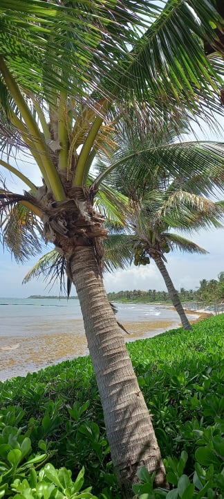 Strand Akumal Bay Beach & Wellness Resort