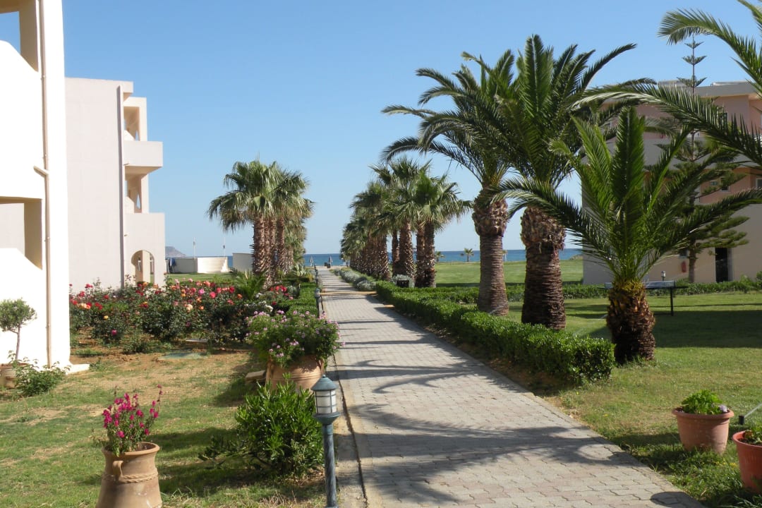 Weg zum Strand Delfina Tropic Beach