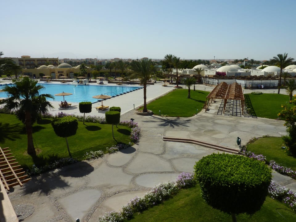 Sportbecken Desert Rose